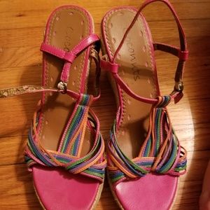Multi Colored Coconuts Wedges